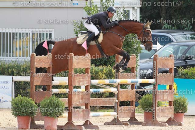 PAFFETTI_SHANGRI LA_GIO CAV 2011_SS3_8531.jpg